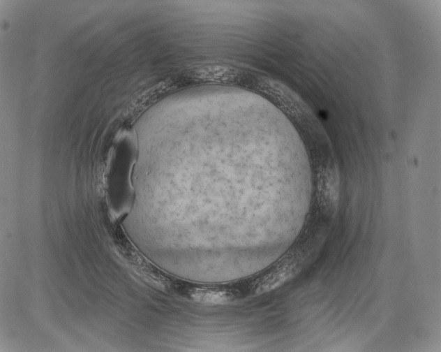 X0000084040602200703022151