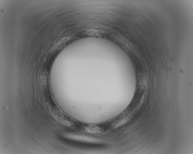 X0000084040603200703022151