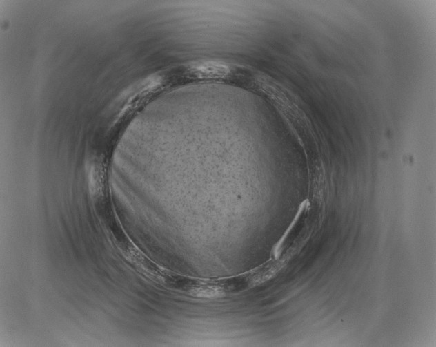 X0000084040604200703022151