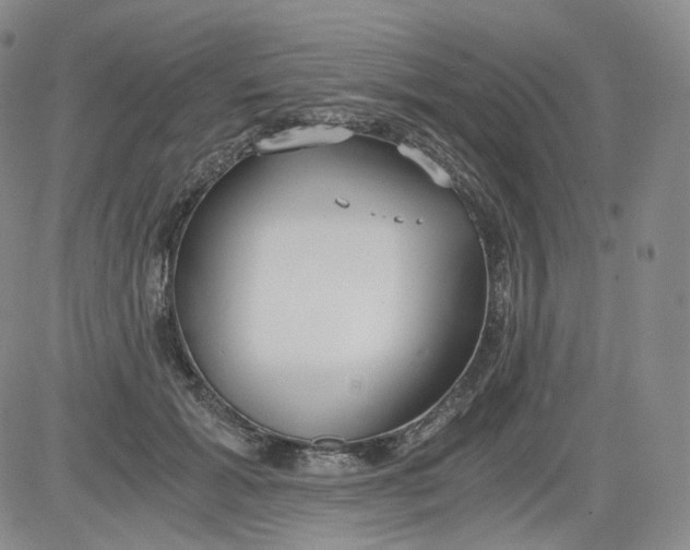 X0000084040605200703022151