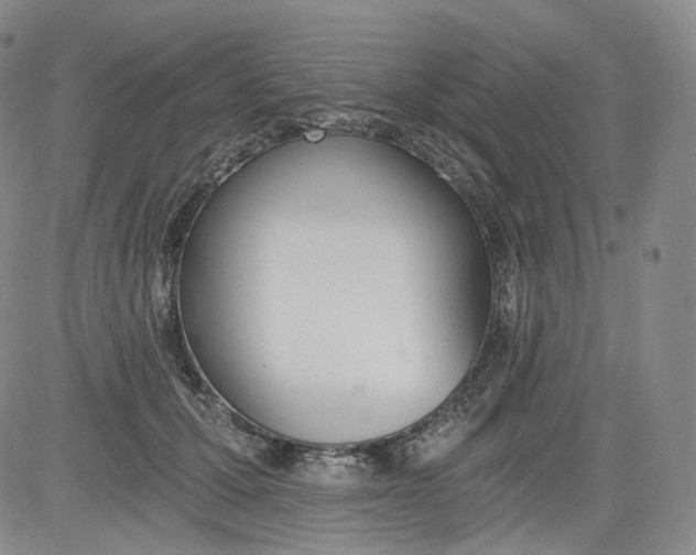 X0000084040607200703022151