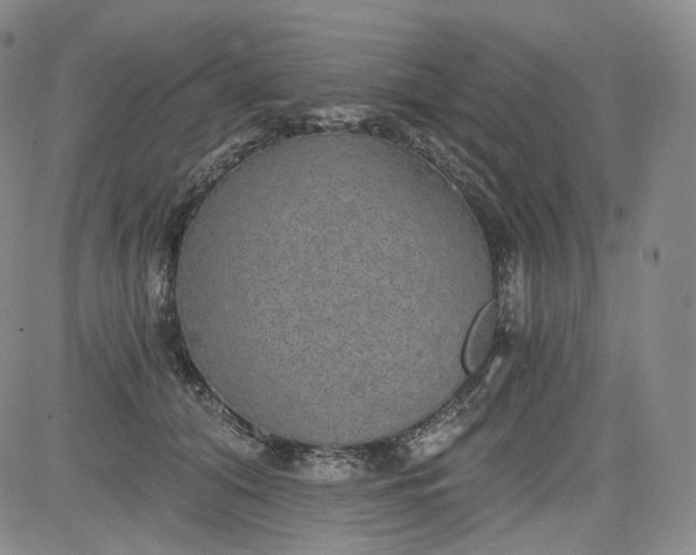 X0000084040608200703022151