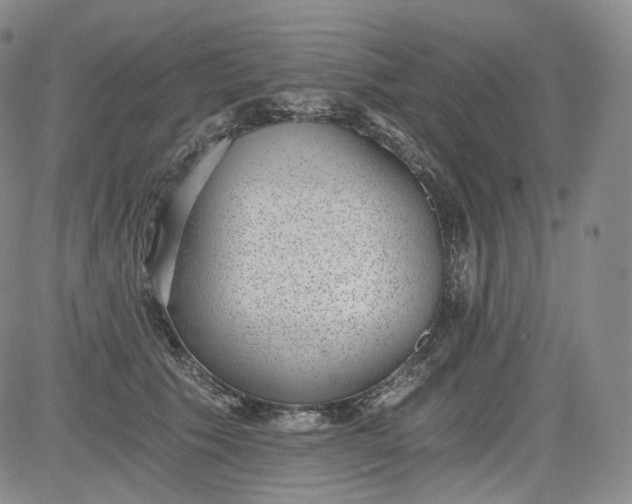 X0000084040609200703022151