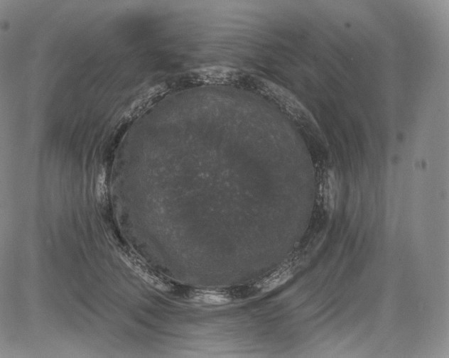 X0000084040610200703022150