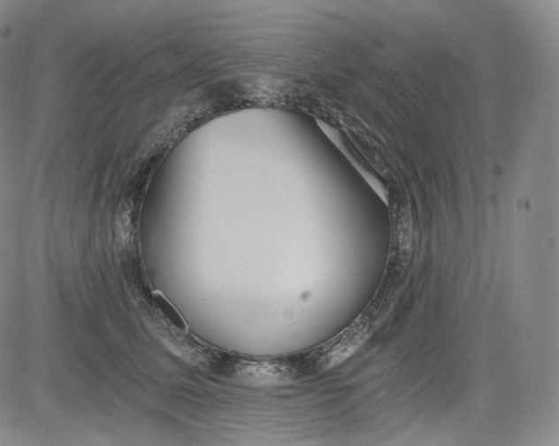 X0000084040611200703022150