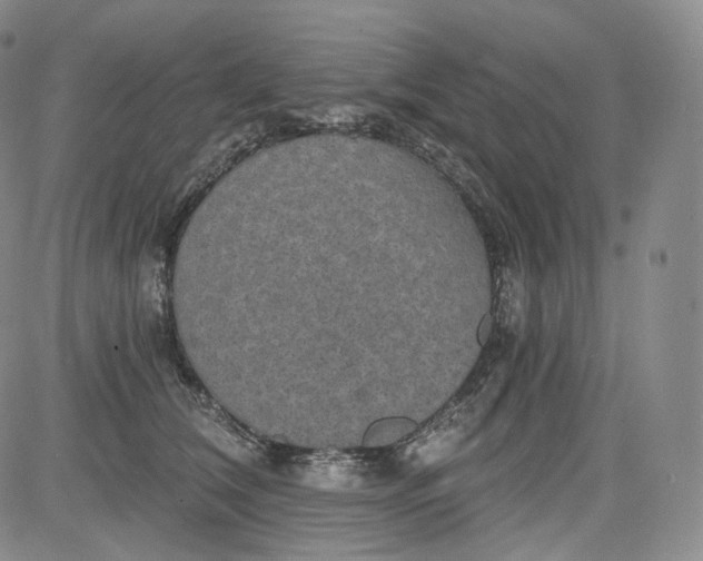 X0000084040612200703022150