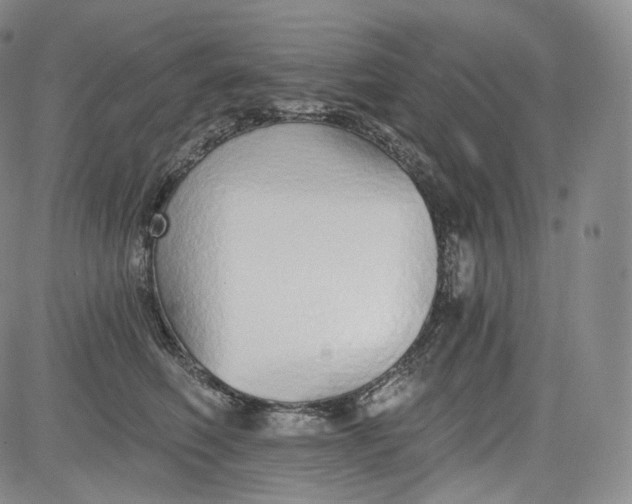 X0000084040614200703022150