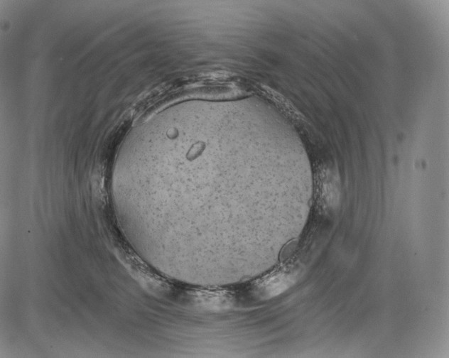 X0000084040615200703022150