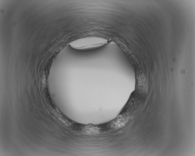 X0000084040617200703022150