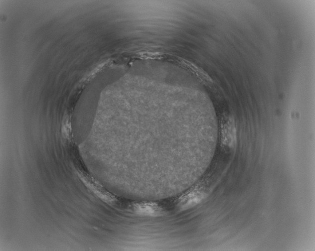 X0000084040618200703022150