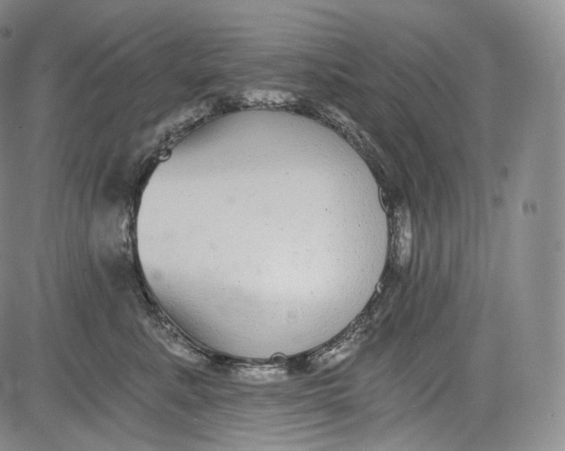 X0000084040619200703022150