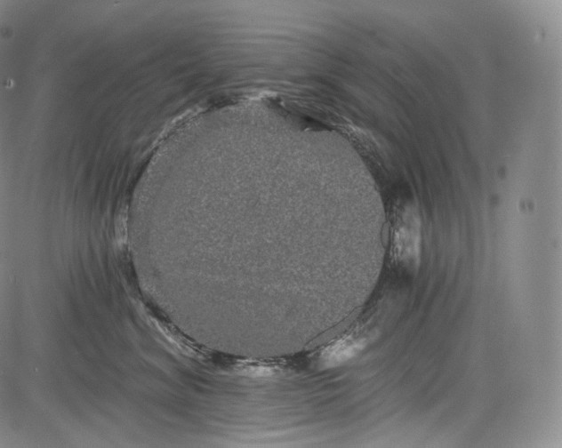 X0000084040620200703022150