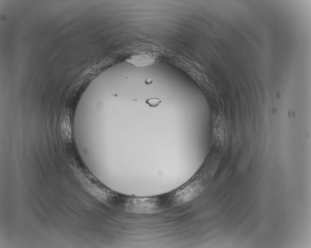 X0000084040622200703022150