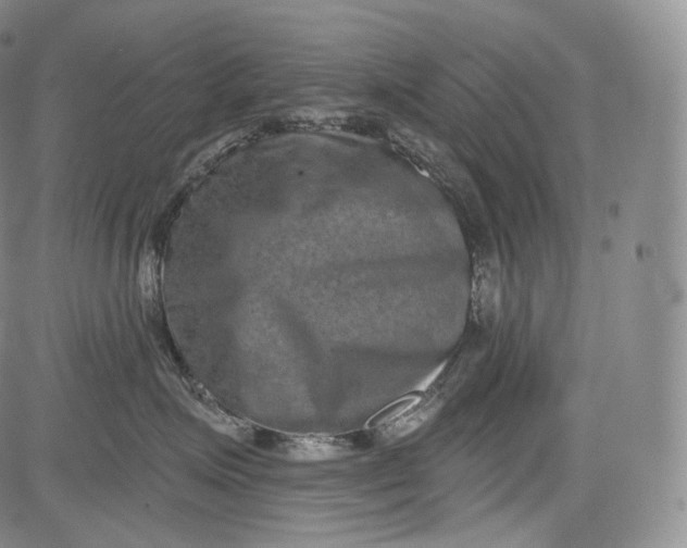 X0000084040623200703022150