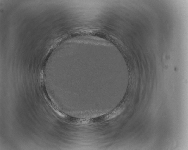 X0000084040624200703022150