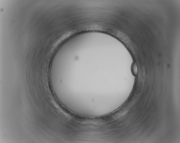 X0000084040625200703022149