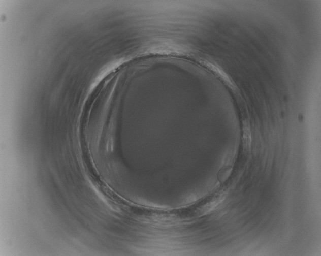 X0000084040626200703022149