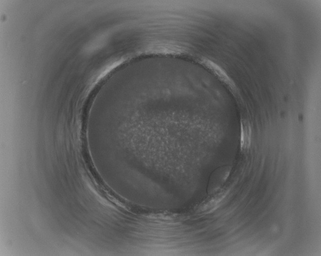 X0000084040627200703022149