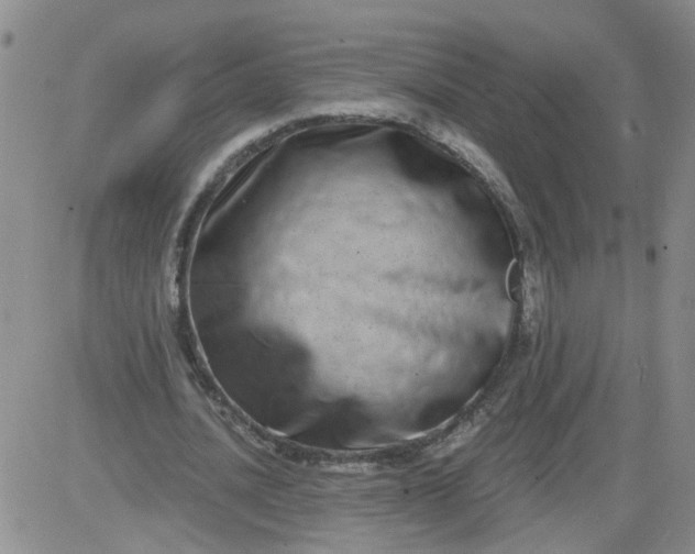 X0000084040628200703022150