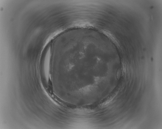 X0000084040630200703022150