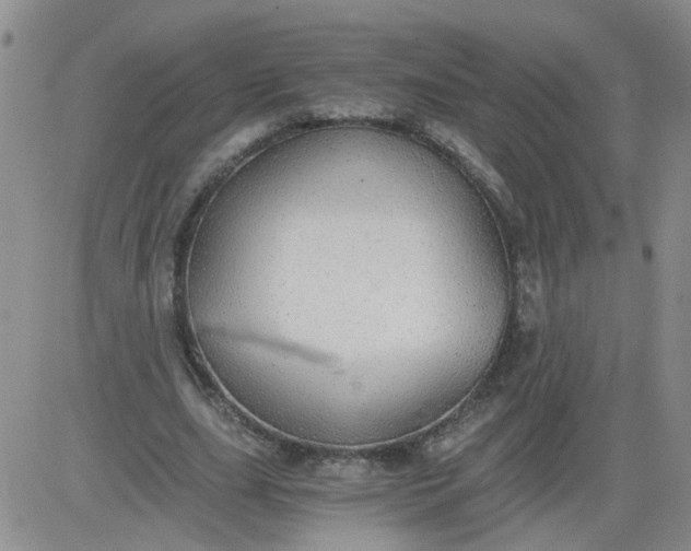 X0000084040631200703022150