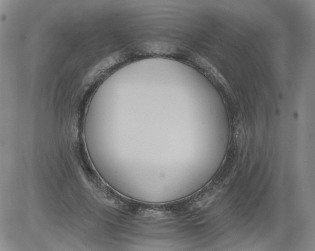 X0000084040635200703022150