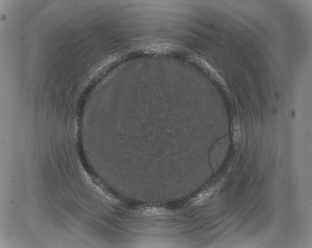 X0000084040637200703022150