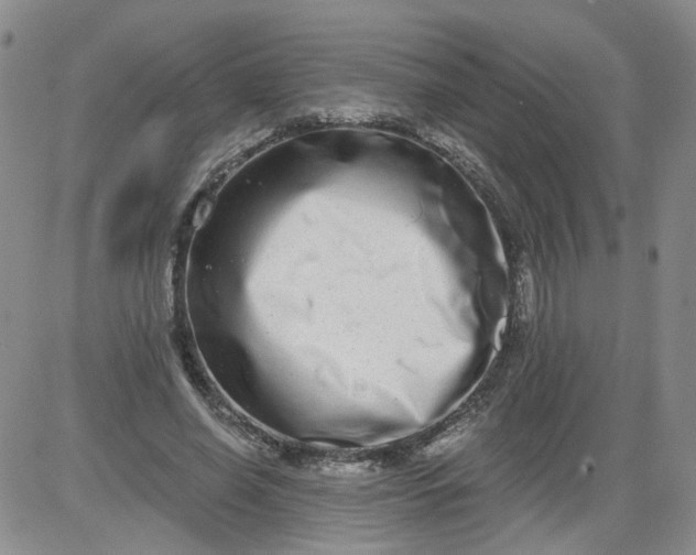 X0000084040638200703022150