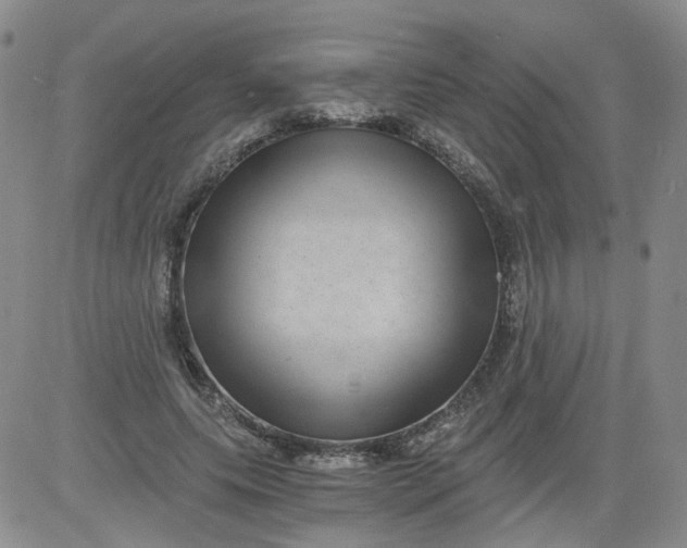 X0000084040639200703022150