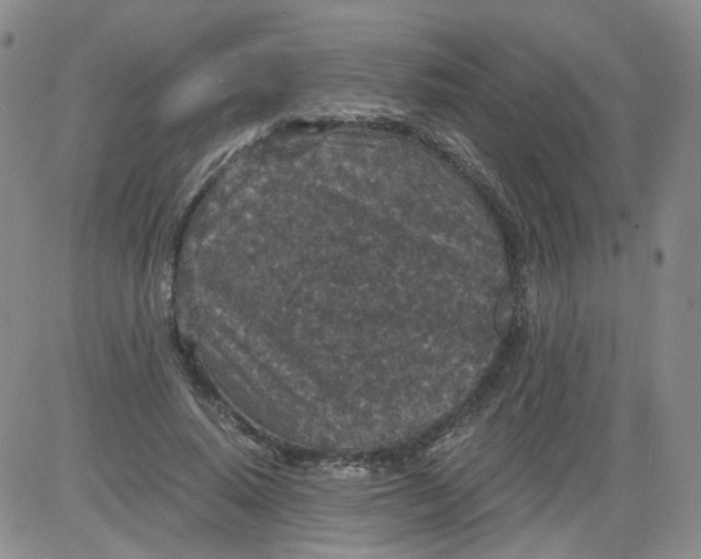 X0000084040640200703022150