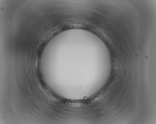 X0000084040645200703022150