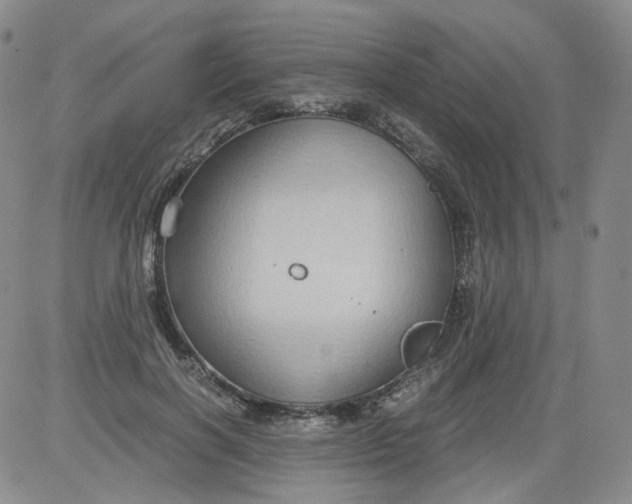 X0000084040646200703022150