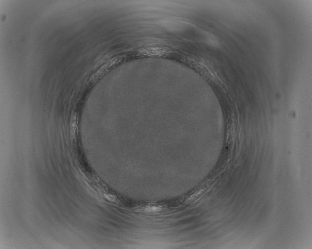 X0000084040647200703022150