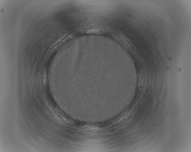 X0000084040648200703022150