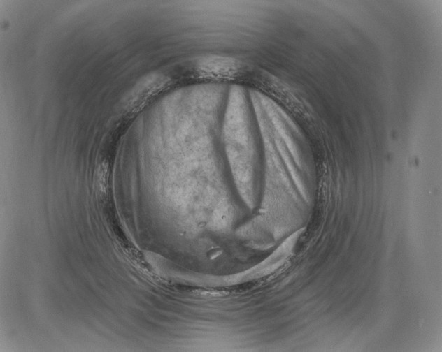 X0000084040649200703022150