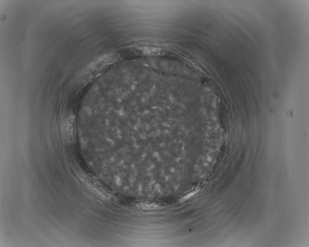 X0000084040650200703022150