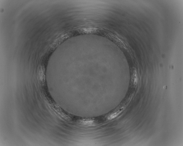 X0000084040651200703022150