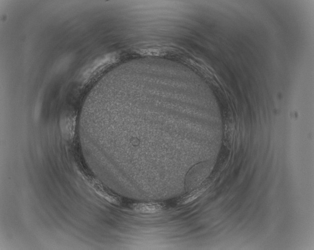 X0000084040652200703022150