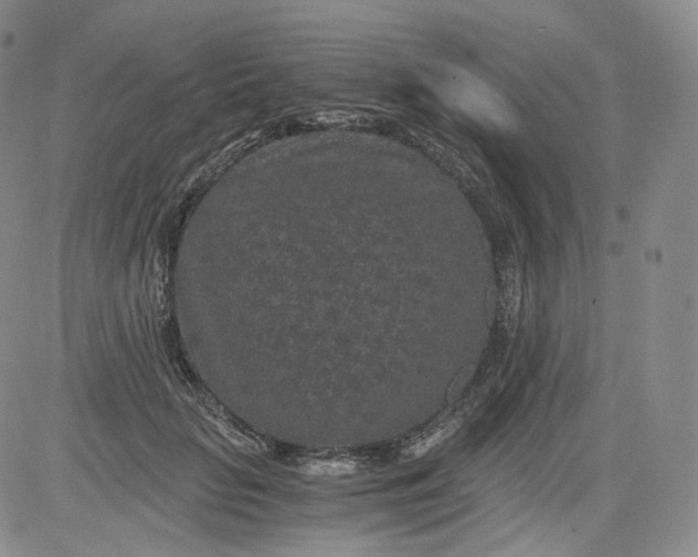 X0000084040653200703022150