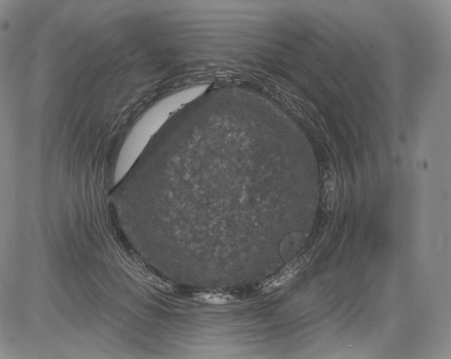 X0000084040654200703022150