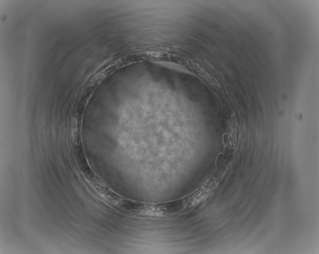 X0000084040656200703022150