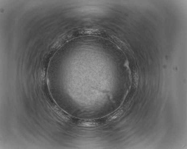 X0000084040657200703022150