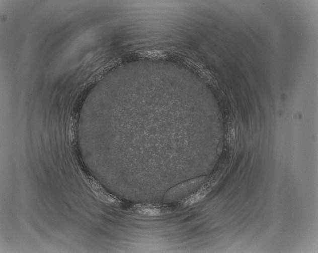 X0000084040658200703022150