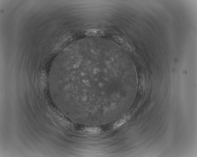 X0000084040659200703022150