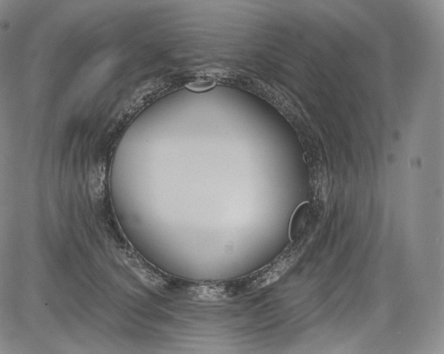 X0000084040660200703022150