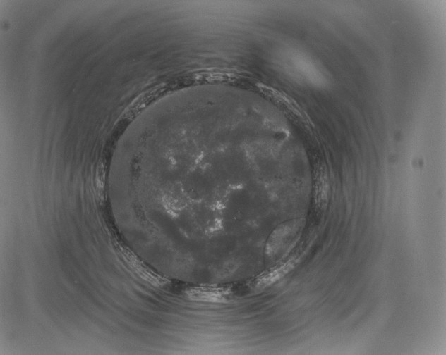 X0000084040661200703022150