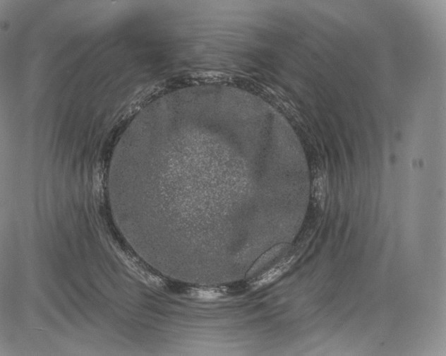 X0000084040662200703022150