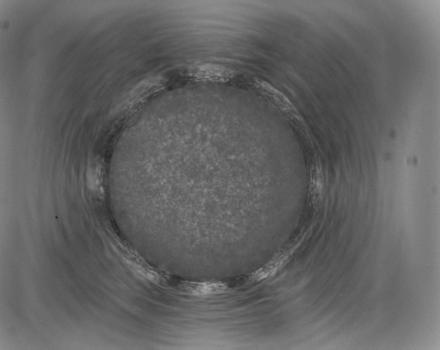 X0000084040663200703022150