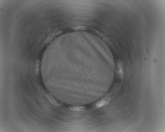 X0000084040664200703022150