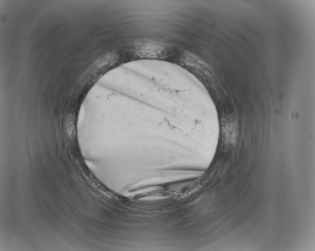 X0000084040665200703022150